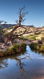 Preview wallpaper rocks, tree, branches, lake, reflection, nature