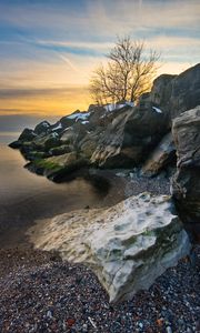 Preview wallpaper rocks, tree, sea, shore, sunset, landscape
