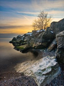 Preview wallpaper rocks, tree, sea, shore, sunset, landscape