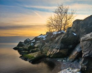 Preview wallpaper rocks, tree, sea, shore, sunset, landscape