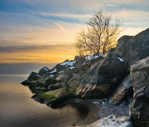 Preview wallpaper rocks, tree, sea, shore, sunset, landscape