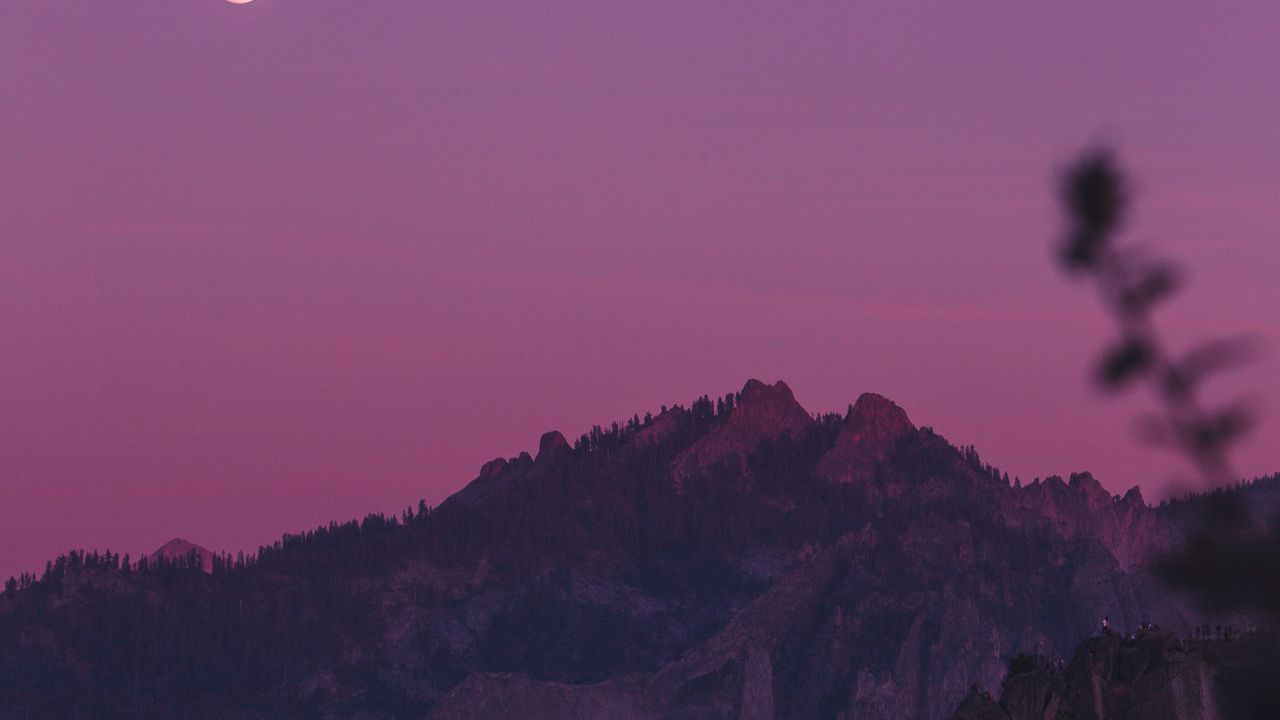 Wallpaper rocks, trees, branches, sunset