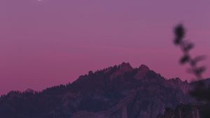 Preview wallpaper rocks, trees, branches, sunset