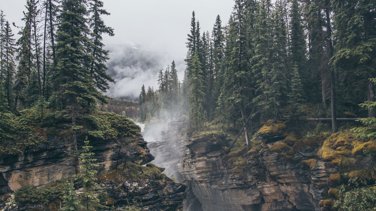 Wallpaper rocks, trees, fog, landscape, nature