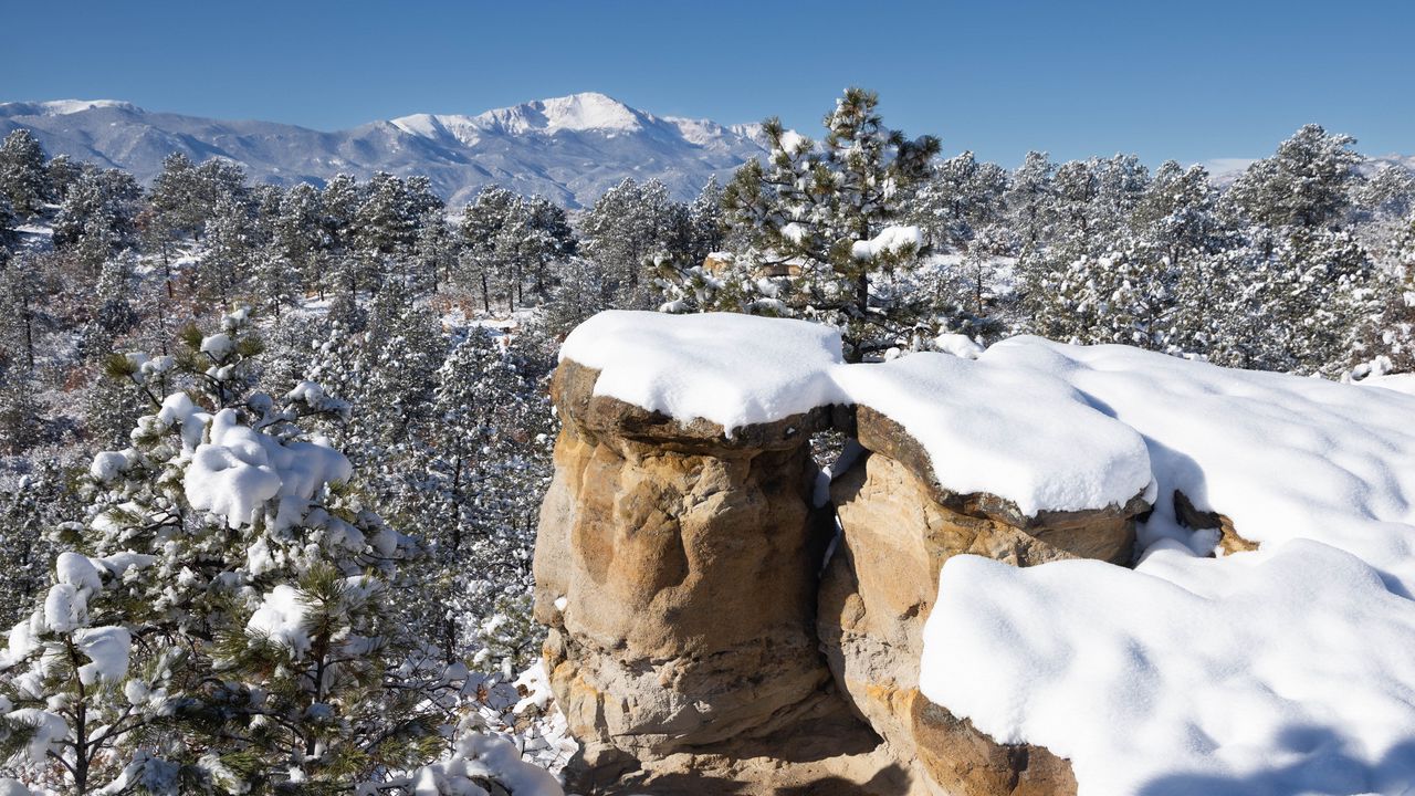 Wallpaper rocks, trees, forest, snow, winter, nature