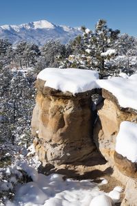 Preview wallpaper rocks, trees, forest, snow, winter, nature