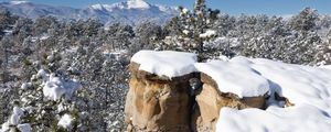 Preview wallpaper rocks, trees, forest, snow, winter, nature