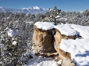 Preview wallpaper rocks, trees, forest, snow, winter, nature