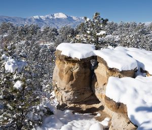 Preview wallpaper rocks, trees, forest, snow, winter, nature