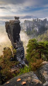 Preview wallpaper rocks, trees, forest, fog, nature, aerial view