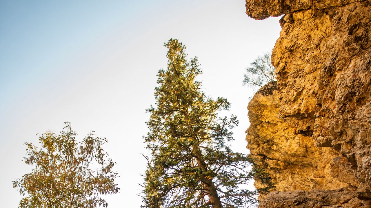 Wallpaper rocks, trees, gorge, nature, landscape
