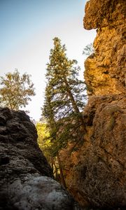 Preview wallpaper rocks, trees, gorge, nature, landscape