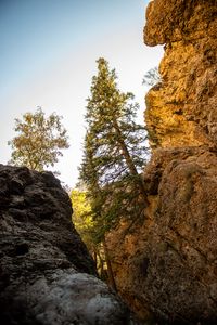 Preview wallpaper rocks, trees, gorge, nature, landscape