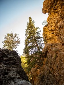 Preview wallpaper rocks, trees, gorge, nature, landscape