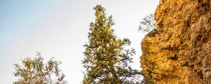 Preview wallpaper rocks, trees, gorge, nature, landscape