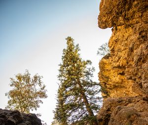 Preview wallpaper rocks, trees, gorge, nature, landscape