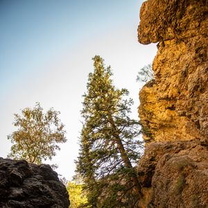 Preview wallpaper rocks, trees, gorge, nature, landscape