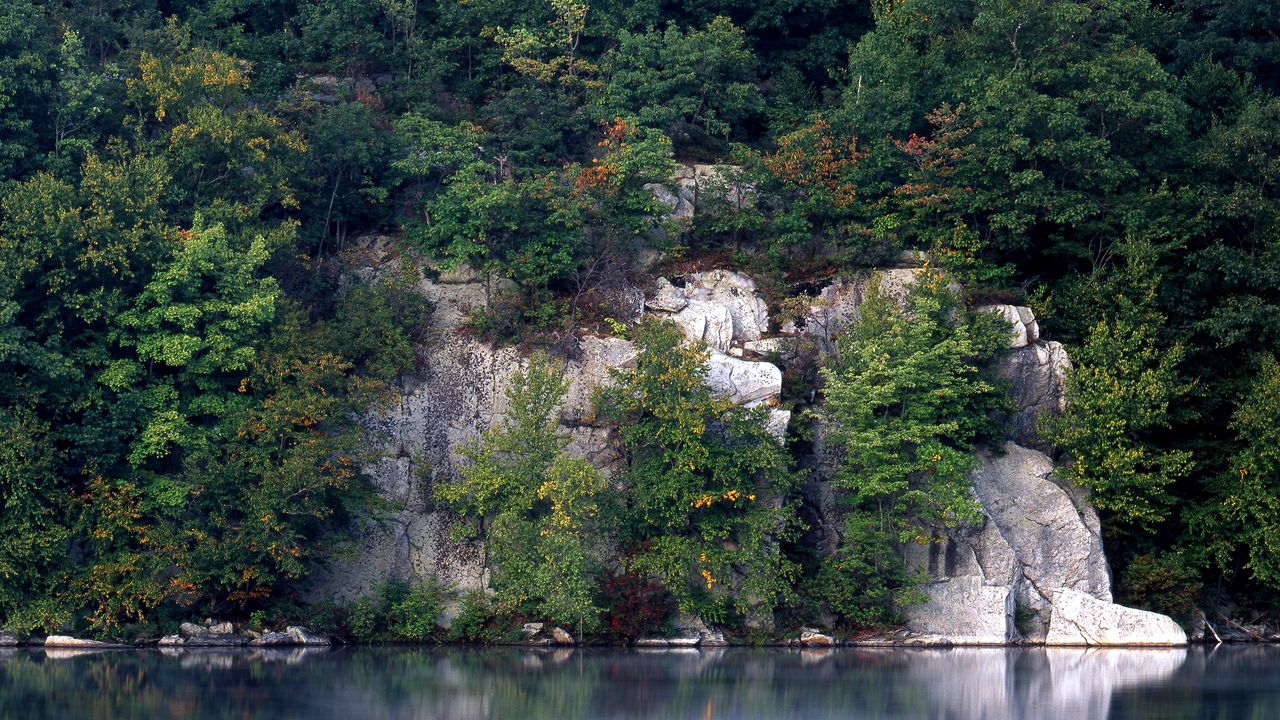 Wallpaper rocks, trees, lake, vegetation, water smooth surface