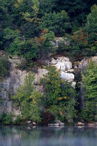 Preview wallpaper rocks, trees, lake, vegetation, water smooth surface