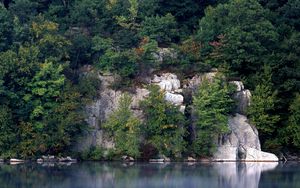 Preview wallpaper rocks, trees, lake, vegetation, water smooth surface