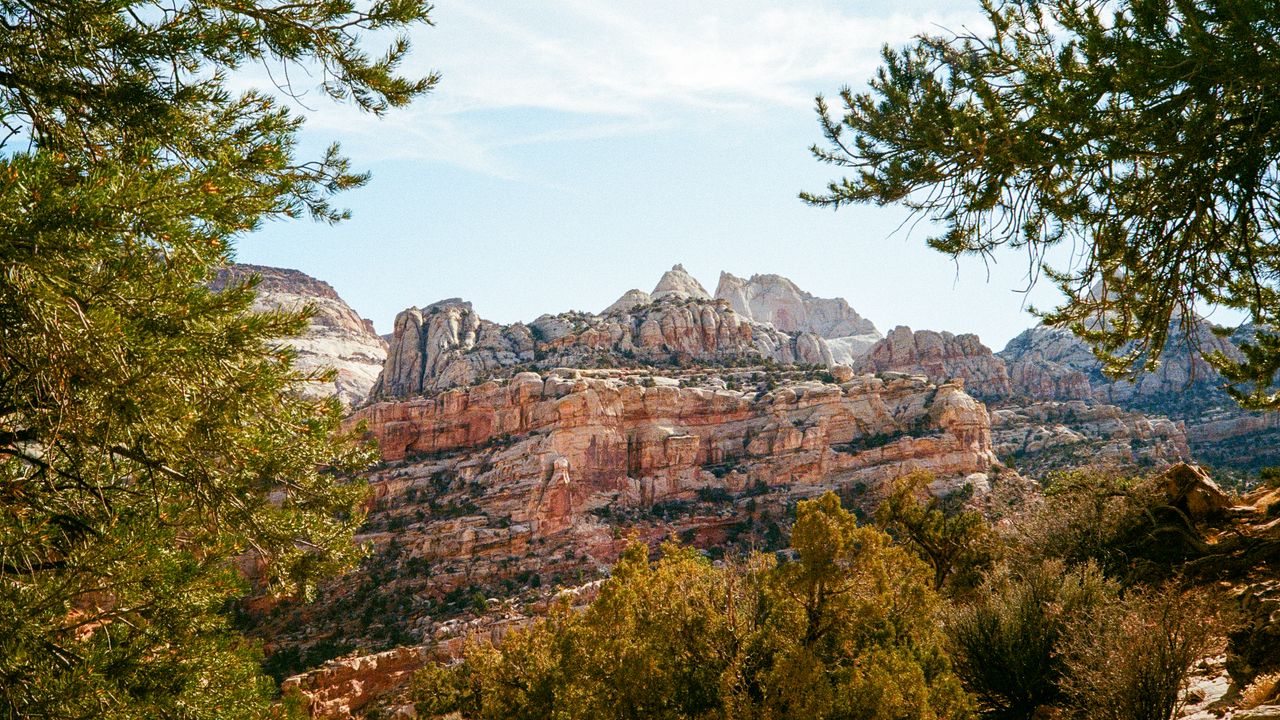 Wallpaper rocks, trees, landscape, nature, relief