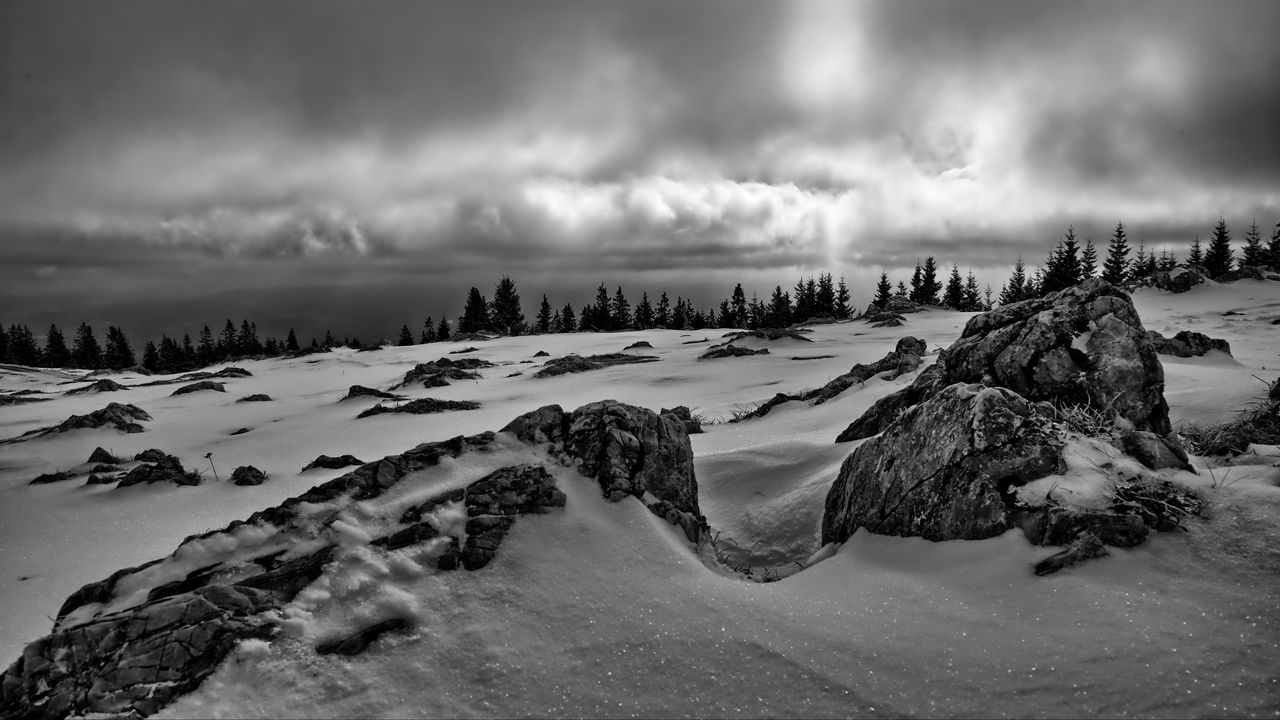 Wallpaper rocks, trees, snow, winter, landscape, black and white