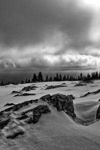 Preview wallpaper rocks, trees, snow, winter, landscape, black and white