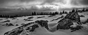 Preview wallpaper rocks, trees, snow, winter, landscape, black and white