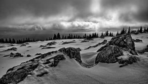 Preview wallpaper rocks, trees, snow, winter, landscape, black and white