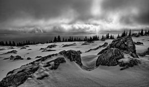 Preview wallpaper rocks, trees, snow, winter, landscape, black and white