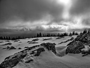 Preview wallpaper rocks, trees, snow, winter, landscape, black and white