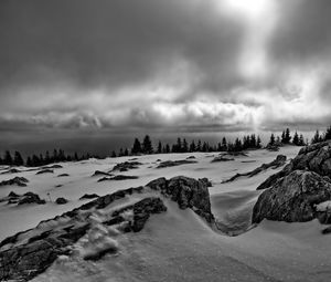 Preview wallpaper rocks, trees, snow, winter, landscape, black and white