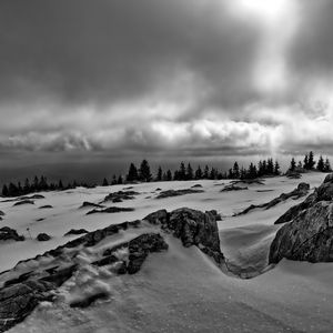 Preview wallpaper rocks, trees, snow, winter, landscape, black and white