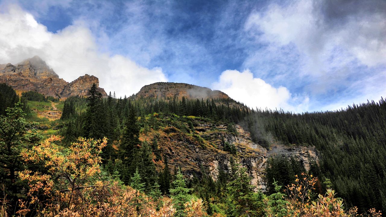 Wallpaper rocks, trees, spruce, sky