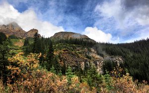 Preview wallpaper rocks, trees, spruce, sky