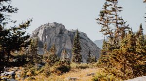 Preview wallpaper rocks, trees, spruce, stones
