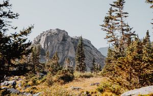 Preview wallpaper rocks, trees, spruce, stones