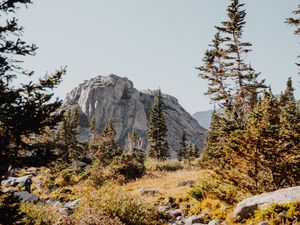 Preview wallpaper rocks, trees, spruce, stones