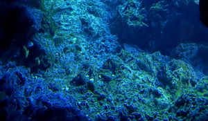 Preview wallpaper rocks, underwater world, water, sea, blue
