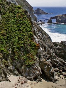 Preview wallpaper rocks, vegetation, greens, coast, sea