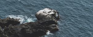 Preview wallpaper rocks, water, aerial view, sea, coast