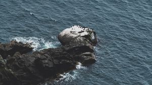 Preview wallpaper rocks, water, aerial view, sea, coast