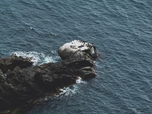 Preview wallpaper rocks, water, aerial view, sea, coast