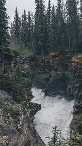 Preview wallpaper rocks, water, forest, trees, nature