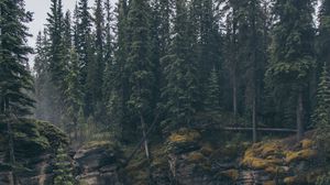 Preview wallpaper rocks, water, forest, trees, nature