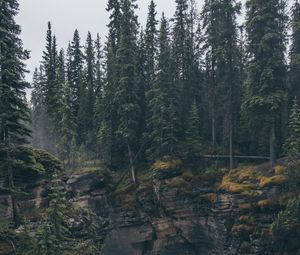 Preview wallpaper rocks, water, forest, trees, nature