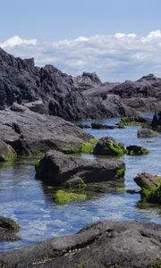 Preview wallpaper rocks, water, moss, sea, shore