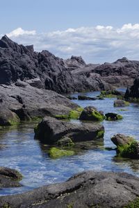 Preview wallpaper rocks, water, moss, sea, shore