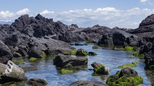 Preview wallpaper rocks, water, moss, sea, shore
