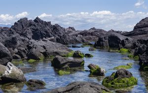 Preview wallpaper rocks, water, moss, sea, shore